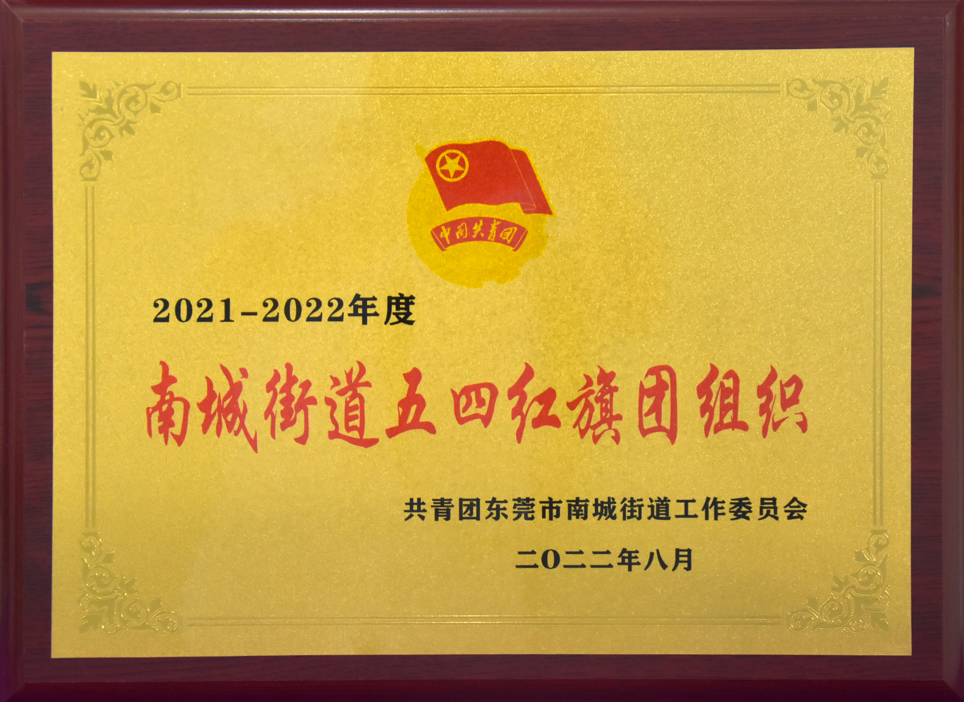 2021-2022年度南城街道(dào)五四紅旗團組織