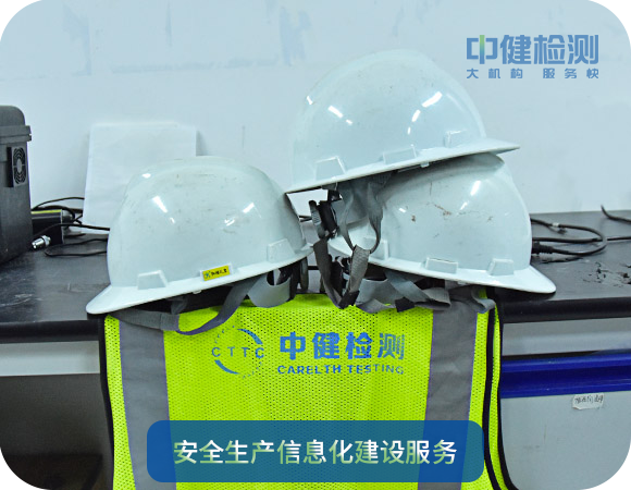 安全生産信息化建設服務