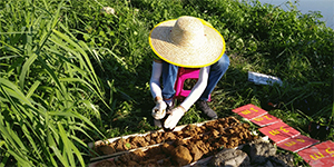 守土有責，全“誠”服務 | 中健檢測助力第三次全國(guó)土壤普查！